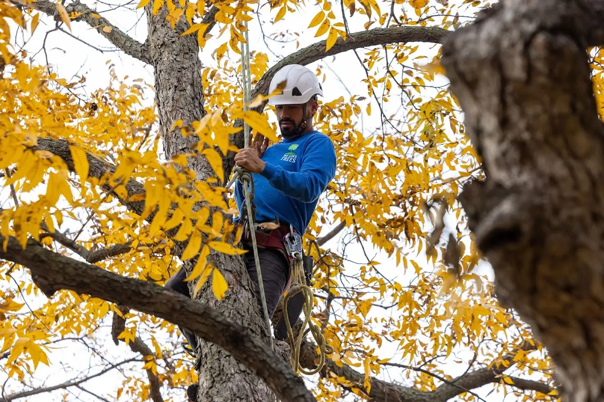 Skilled Storm Damage Cleanup crew working in Wells